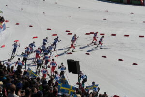 (c) 2019 Karl Baumann: Competition, Seefeld in Tyrol